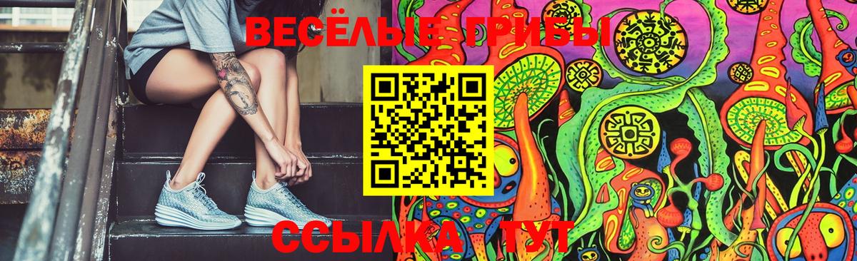 Галлюциногенные грибы Psilocybine cubensis  Вход с VPN  Новый Уренгой 